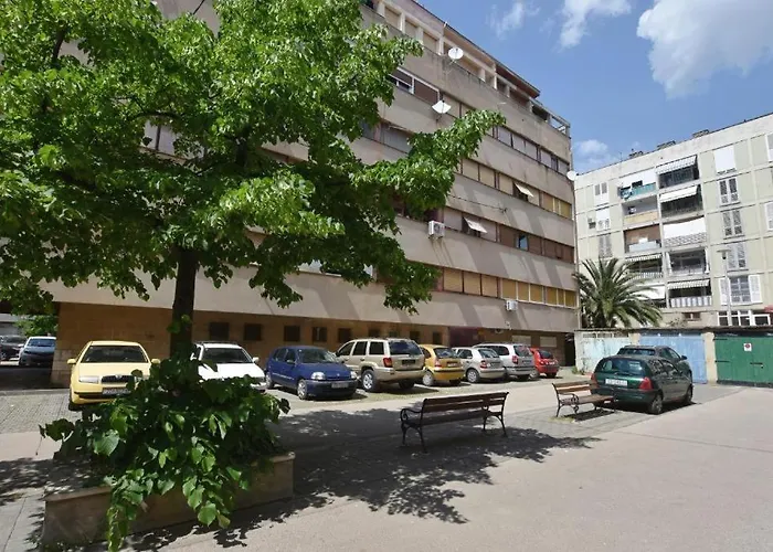 Roko & Borna Free Public Parking