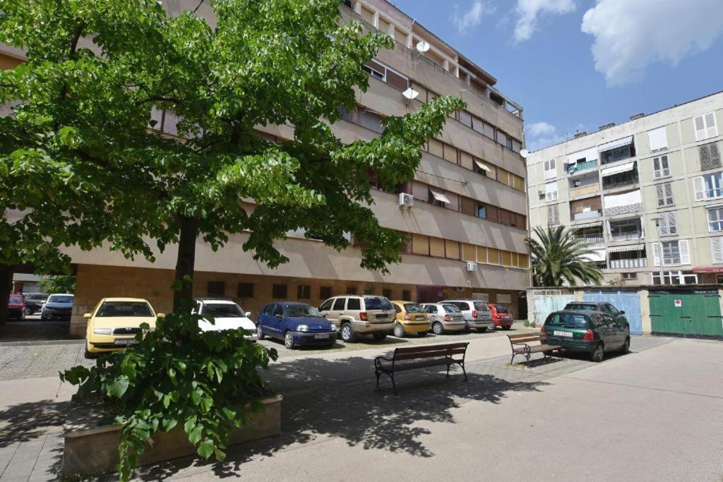 Roko & Borna Free Public Parking